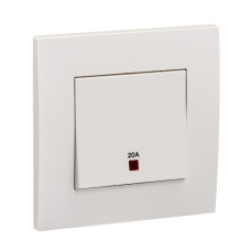 20A 1G DP SW W/NEON, WE